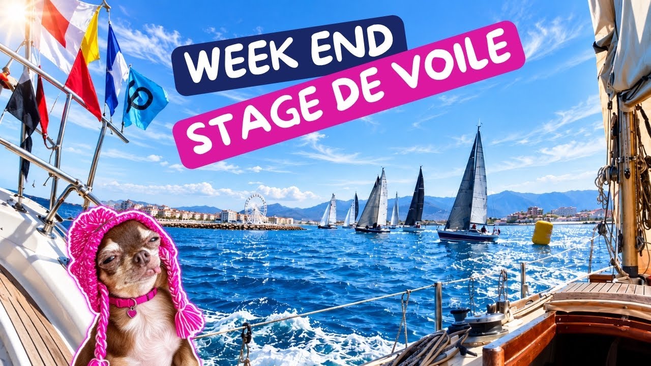 ⁣Mon week end en stage de voile