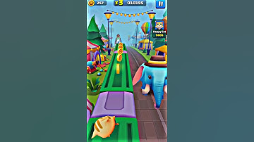 Is A Cat Runner REALLY Worth It?