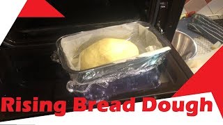 Timelapse: Rising Bread Dough