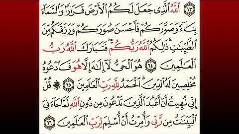 TAFSIIRKA:◇:سورة غافر من٦٤-٦٦:◇:SH:-MAXAMAD CABDI UMAL حفظه الله