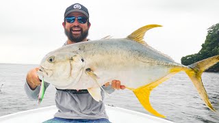 BIG FISH SLAMS Small LURE!