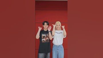 🐈‍⬛🐈💕 #StrayKids #스트레이키즈 #리노 #LeeKnow #필릭스 #Felix #YouMakeStrayKidsStay