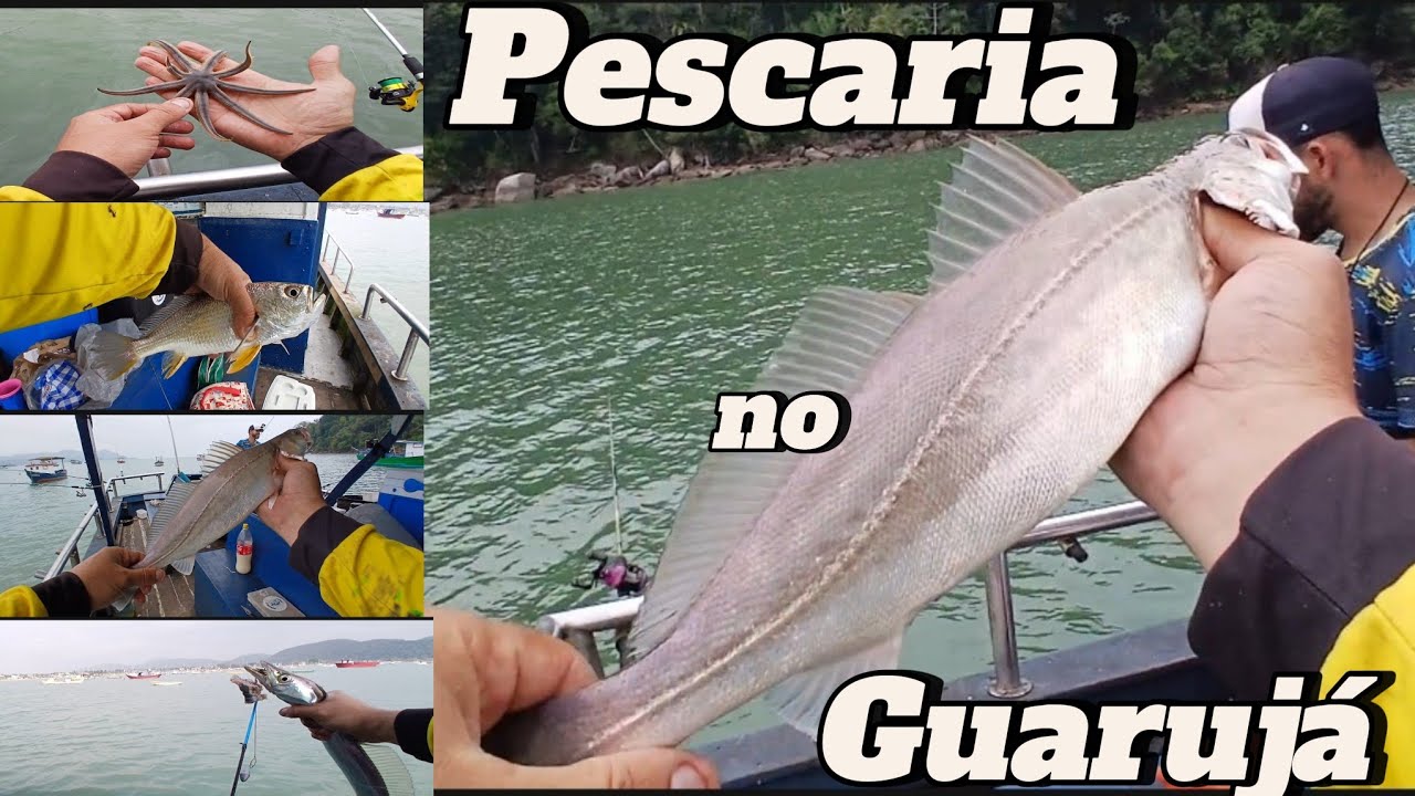 Pescaria Perequê Guarujá Pânico no barco muito Peixe na linha.