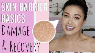 SKIN BARRIER 101 | Everything You Need to Know and How to Repair it