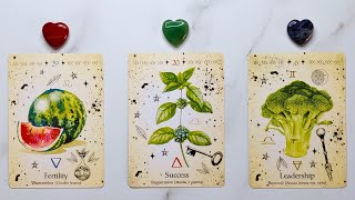 AN UNEXPECTED BLESSING IS COMING YOUR WAY!  Pick A Card ✨ Timeless Tarot Reading