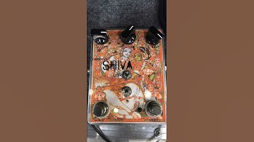 The Deity Of FUZZ!! 🙏🏽⚡️ Dwarfcraft Devices Shiva Octave Fuzz Pedal #shorts