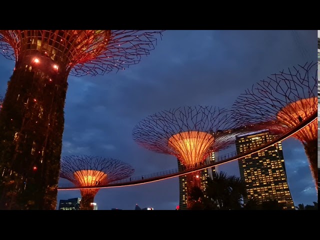 Gardens by the bay 1 class=