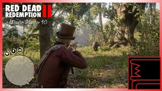 Red Dead Redemption 2: Master Hunter 10