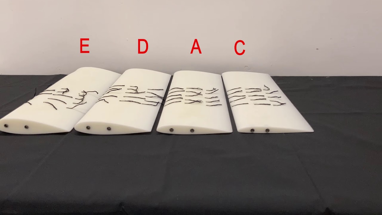 Video #5 (Flow Visualisation)