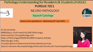 Pursue 7 Z C1 - Squash Cytology