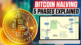 5 Phases of the Bitcoin Halving - Updated Ultimate Guide For 2024