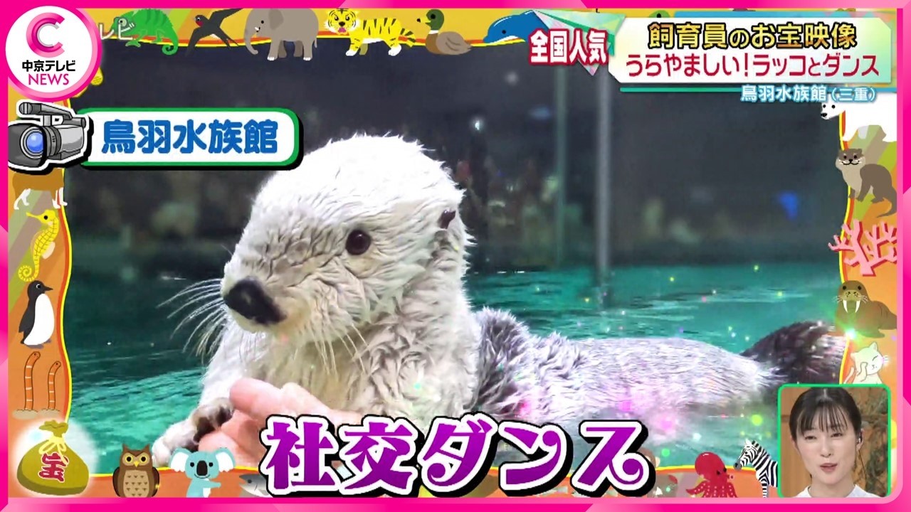 【飼育員のお宝映像】貴重な癒やし映像をたっぷりみせます　東海地方の動物園と水族館