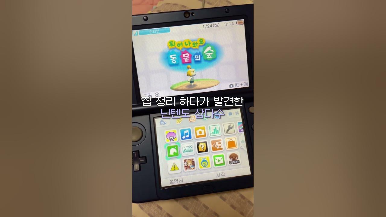 느이 모동숲엔 이런 거 없지? 잠자고 있던 튀동숲 깨우기 - Youtube