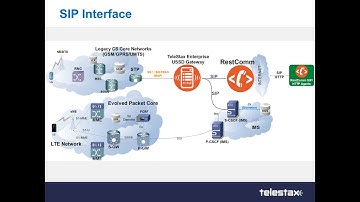 TelScale USSD Gateway module 7