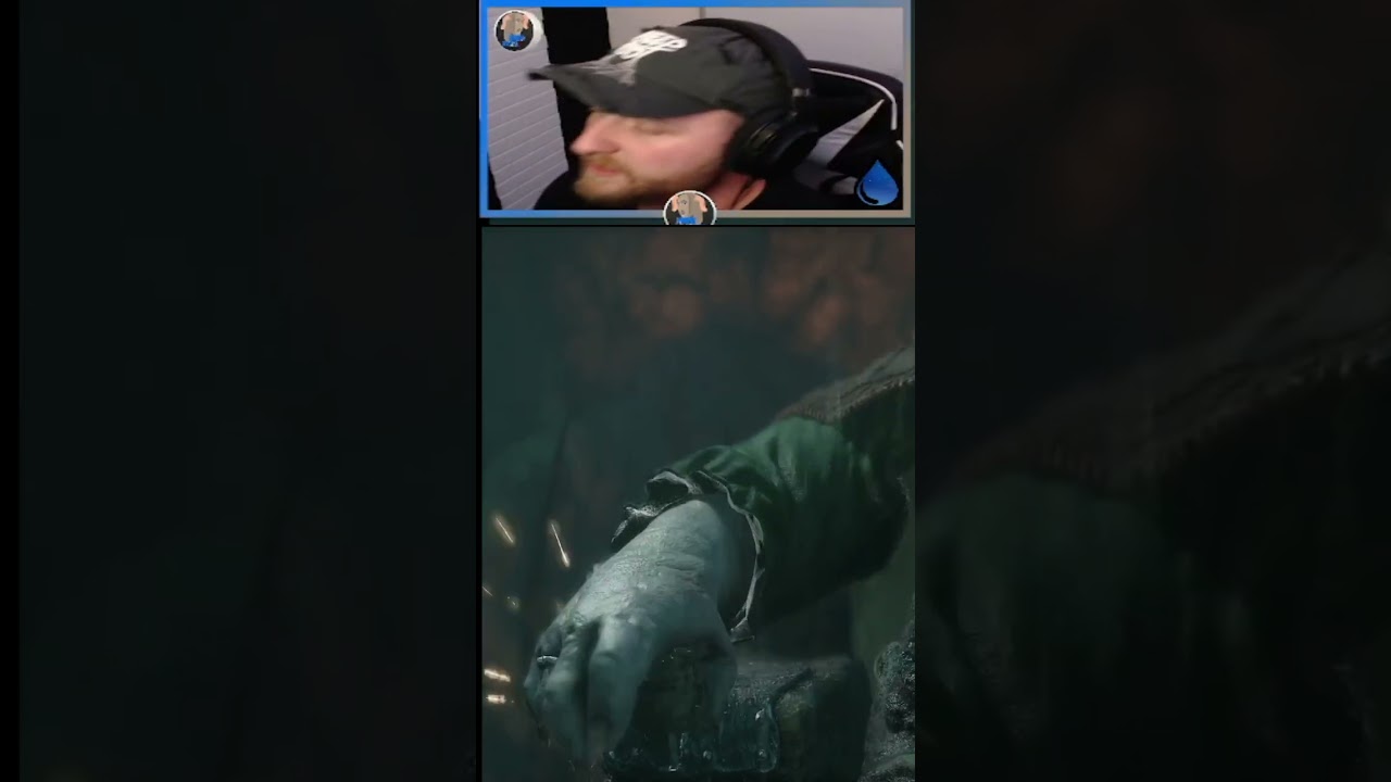 When You Show Up In The Wrong Forest