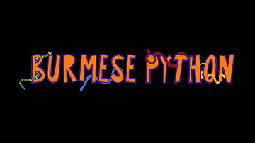 BURMESE PYTHON - OFFICIAL MUSIC VIDEO