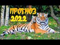 Прогноз 2022. Год Тигра. Для всех знаков. Что нам готовит полосатый хищник? 😸