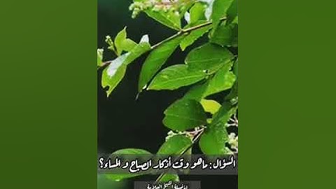وقت أذكار الصباح والمساء لفضيلة الشيخ العلامة محمد بن صالح العثيمين رحمه الله