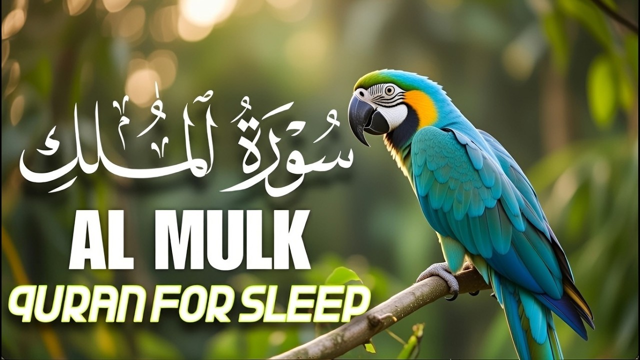 Surah Al‑Mulk Full Recitation Before Sleep | Protection from Grave & Inner Peace | Calm Night Quran