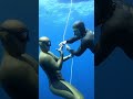 How freediving champions settle disputes 