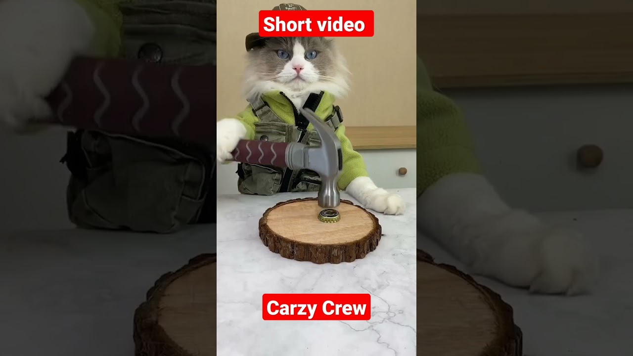 live hacks video🔥🥵