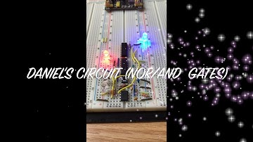 Ozbolt - DSF Lab the Third