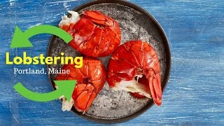 Lobster Heaven in Portland, Maine — VR 360 video