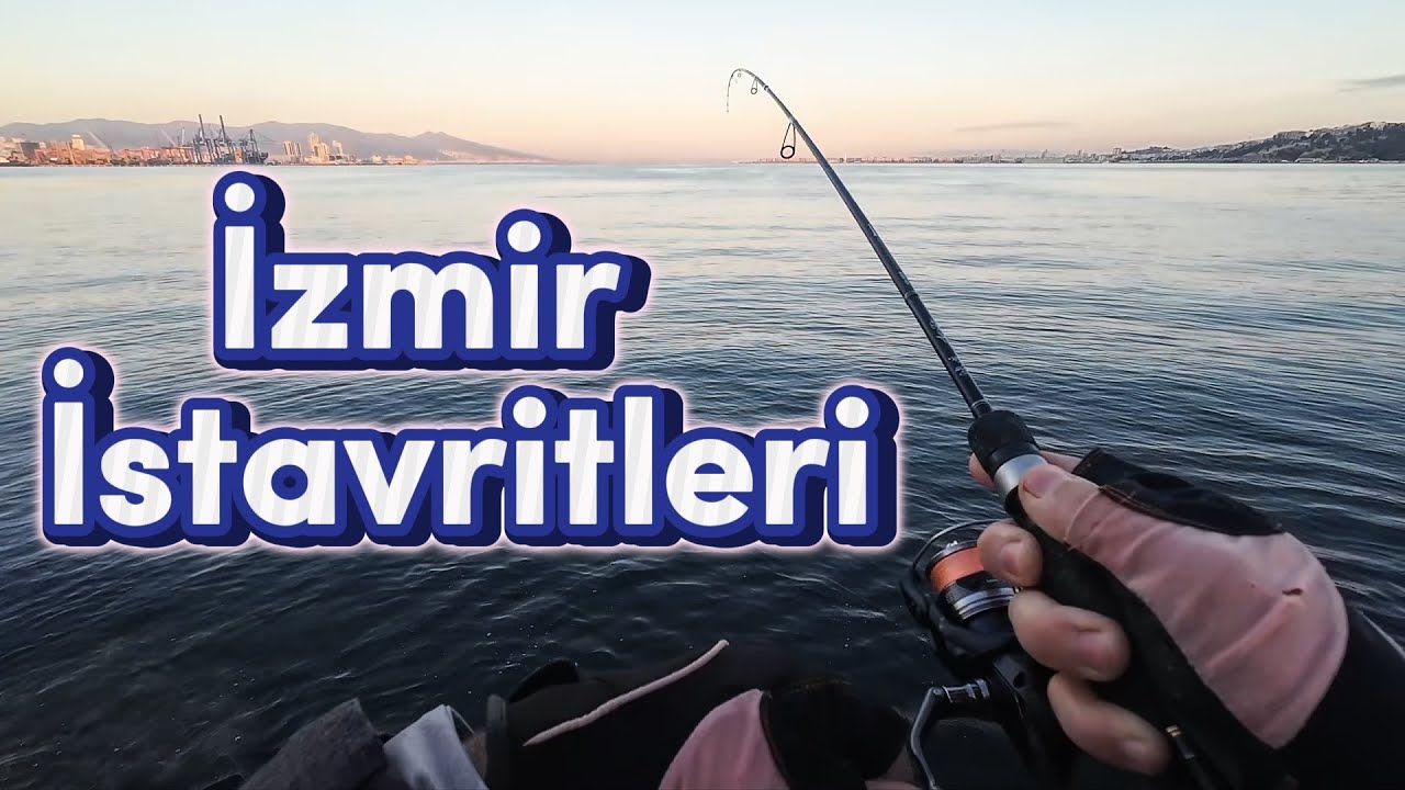 İzmir İstavritleri - LRf İstavrit Avı