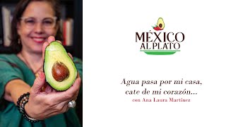 México al plato: El aguacate