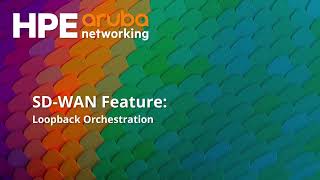 SD WAN Feature: Loopback Orchestration