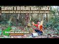 Masuk Hutan Pedalaman Kalimantan, Berburu Buah Lai Langka 🌿 Survival Asli
