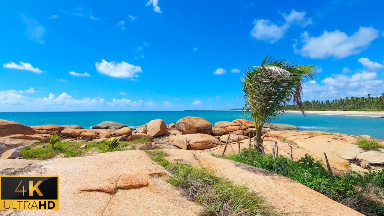 Praia de Porto Nassau e a Ilha Do Coqueiro Solitário 4k #Pernambuco ...