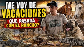Así Es Preparar Un Rancho Lleno De Animales Para Salir De Vacaciones