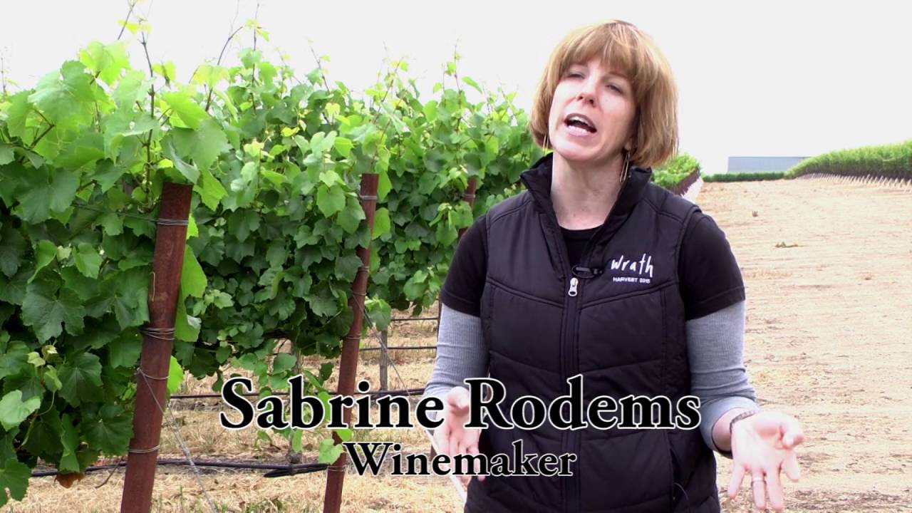 SIP Certified - Wrath Wines