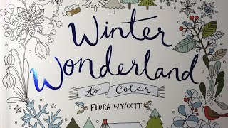 Winter Wonderland to color Flip-through | Adult Colouring