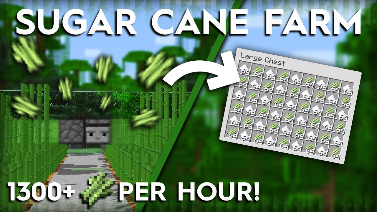 Minecraft Sugar Cane Farm - 24 Per Hour - 24.246/24.245