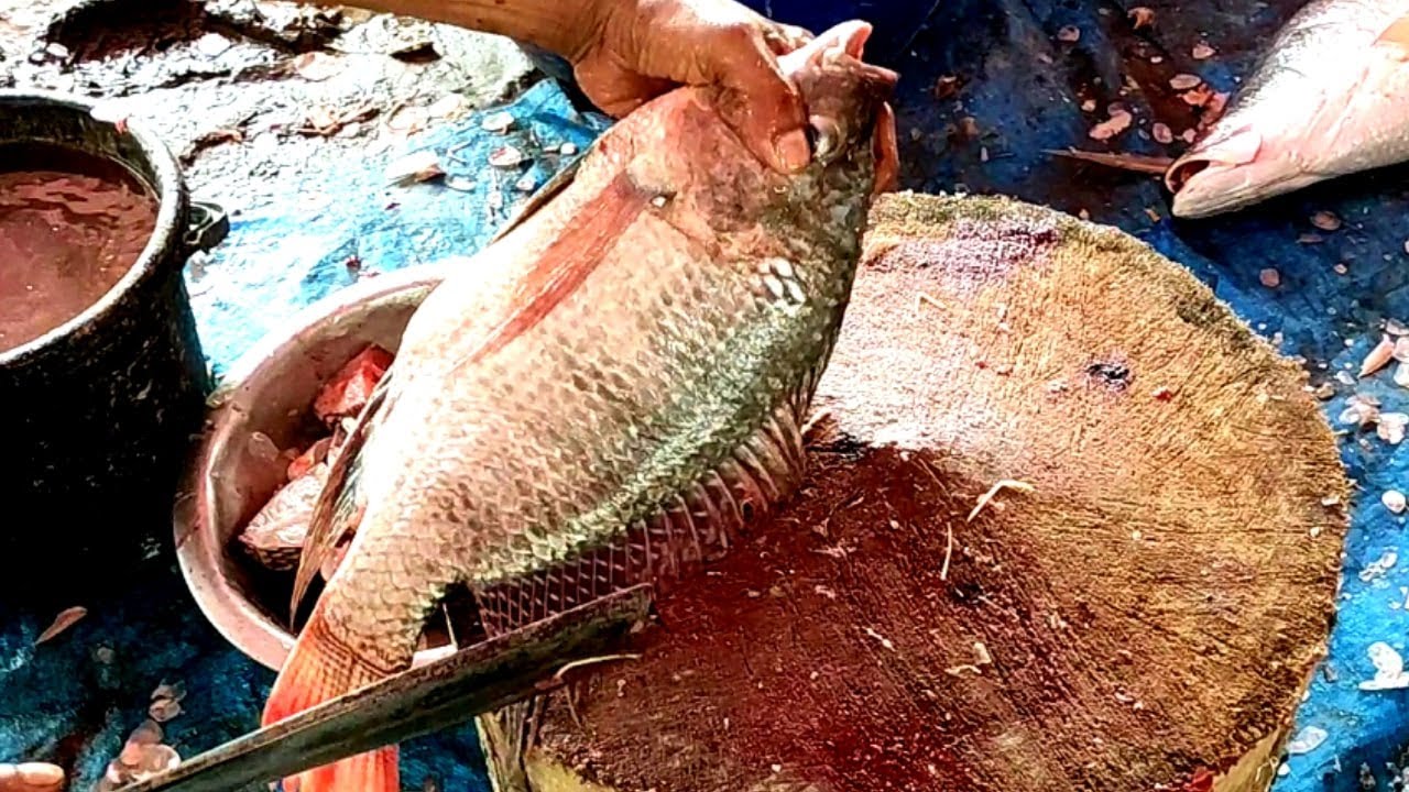 Tilapia Fish Cutting Skills in Fish Market | Deshi Fish