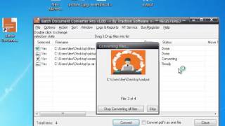 Celebrity Batch Document Converter Pro - Getting Started Thank you for installing Net Worth