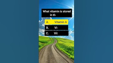 can you get 6/6 ? #quiz #quizzes #quiztime #knowledge #englishquiz #questions #answers #quizchalleng