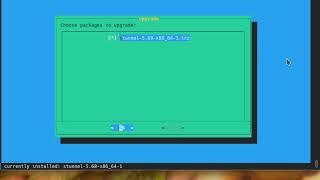 Upgrade stunnel slackware screenshot 2