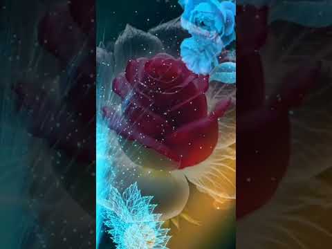 الي بعيد موعناسه واحبابه جمعتكم مباركة عليكم دعم لقنات منفضلكم