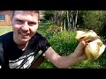 Ref:CL_r00zYxKU La famille bargeot - pisode 1 : restons connects