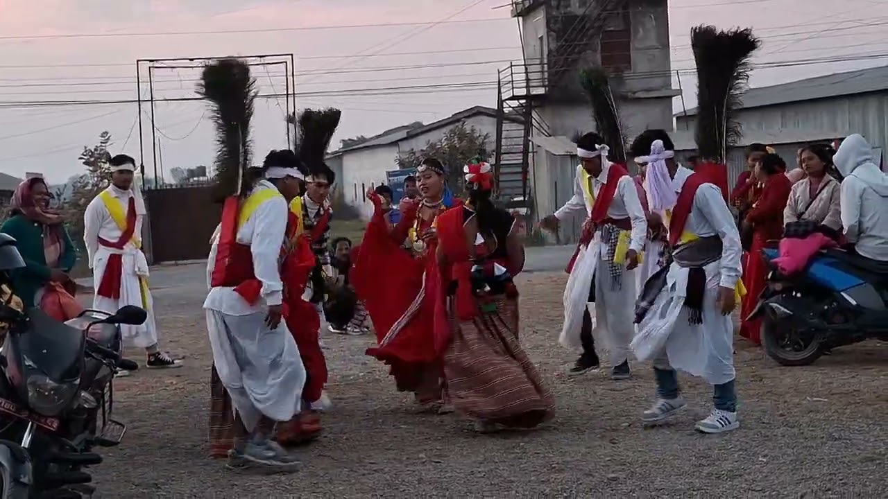 Tharu culture. Maghi dance