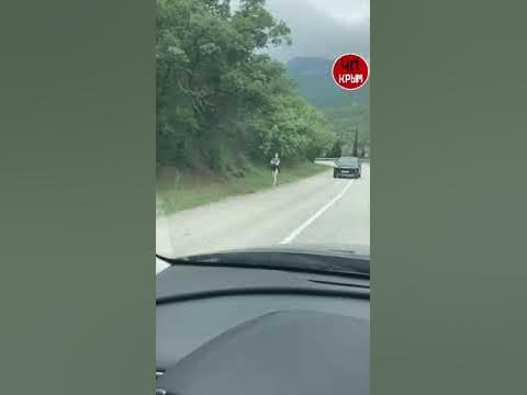 ЧП КРЫМ, Солнечногорск 😉 - YouTube