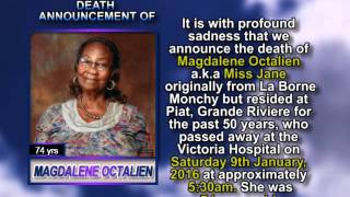 Magdalene Octalien short