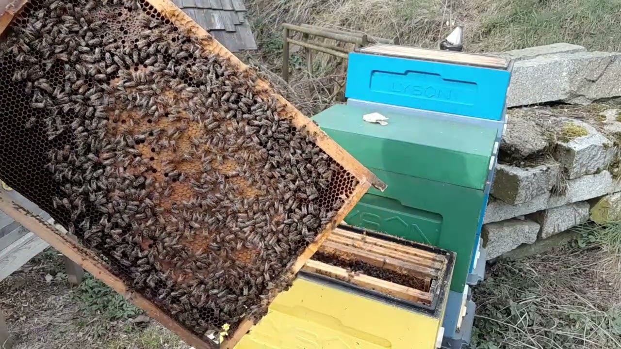 2. díl včelaření v šestirámku