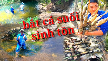 thả lưới bắt cá | món cá nướng siêu ngon
