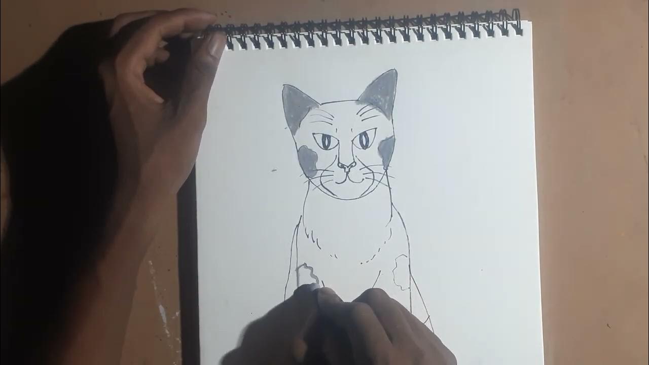 Easy drawing cat , step by step drawing cat YouTube
