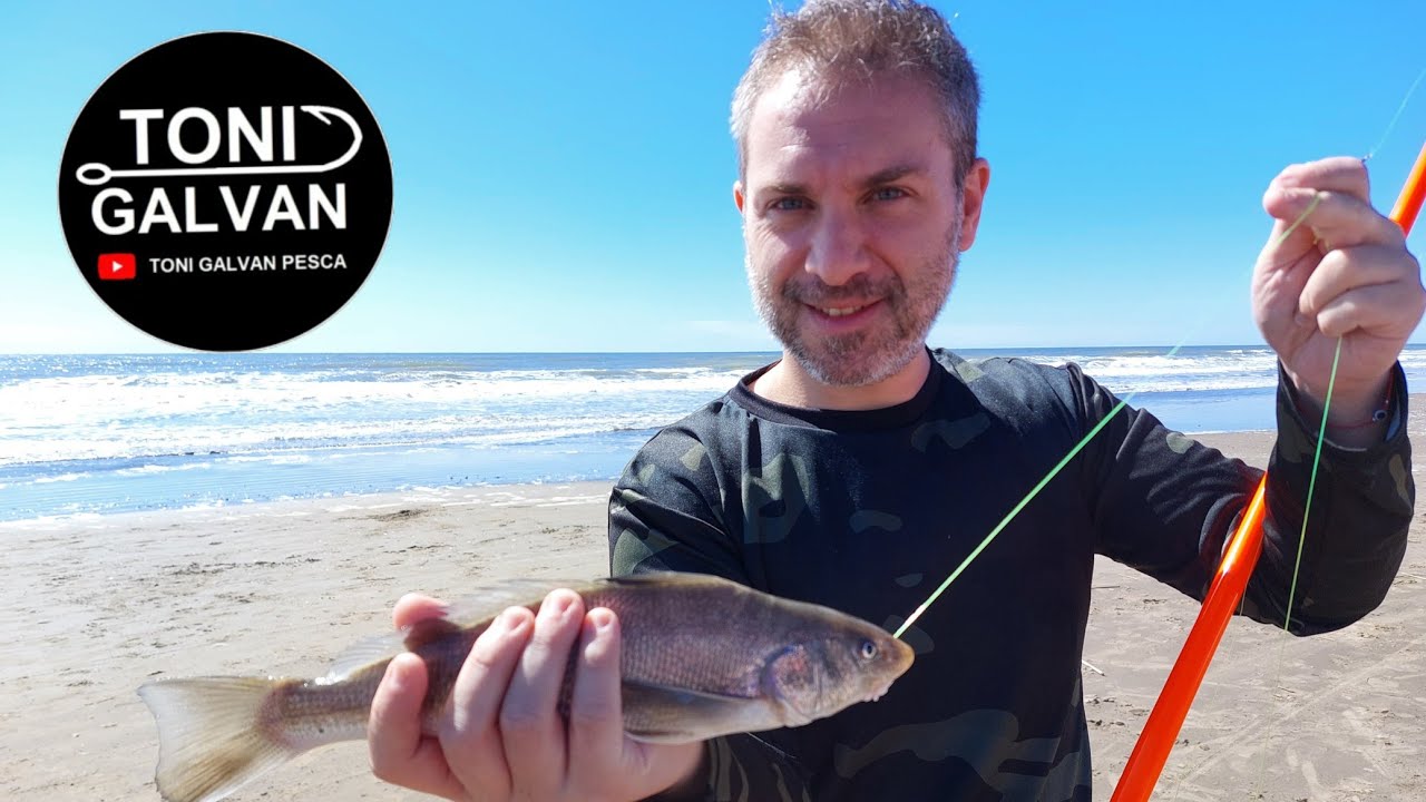 PESCA DE COSTA EN PLAYAS DE SAN BERNARDO 11-2025 || ALMEJAS DE CARNADA Y BURRIQUETA