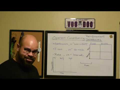 Operant Conditioning Reinforcement Schedules